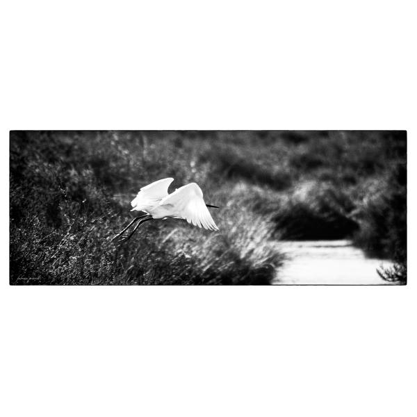 PHOTO84, CLUB, 84 , LUBERON